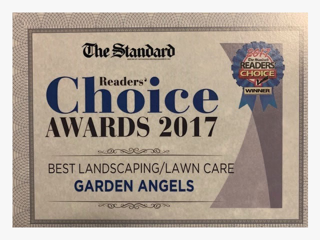The Standard Reader' Choice Awards 2017