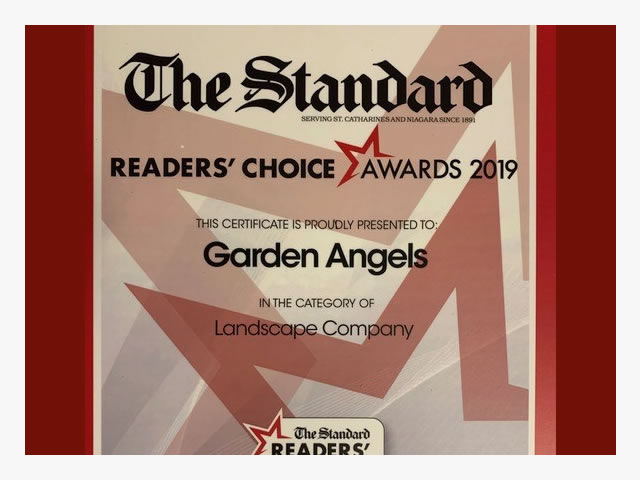 The Standard Reader' Choice Awards 2019